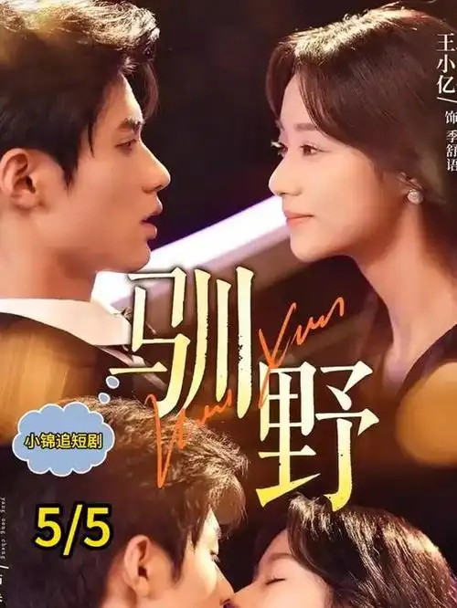 深蓝回响 悬疑电视剧全集在线观看